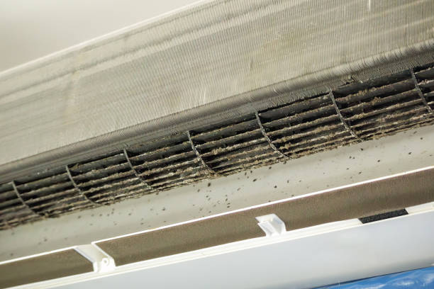 Best Air Duct Cleaning Near Me  in Menonee, MI